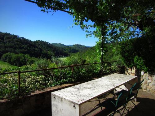 Bosco della Spina