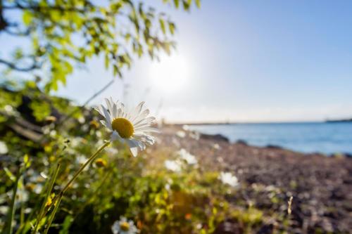 First Camp Gränna – Vättern