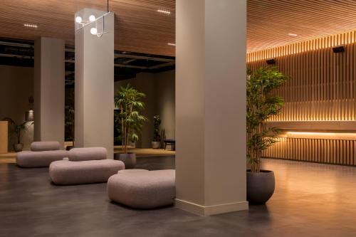Zedwell Piccadilly