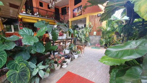 Unk's House