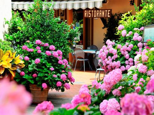 Ristorante Dal Falco
