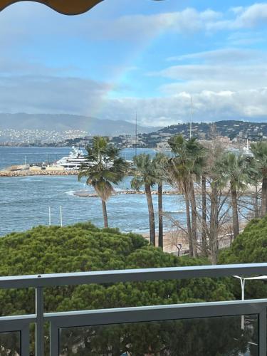 Palm croisette front de mer1