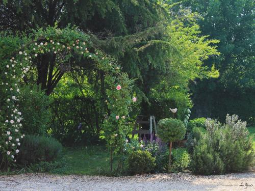 Alla Vigna - Bed And Breakfast Treviso