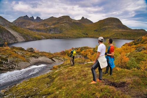 Lofoten Planet Basecamp