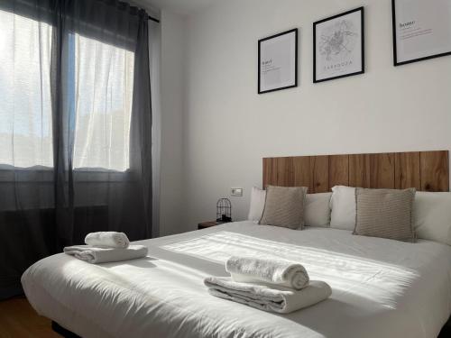 VTZ El Balcón a la Basílica II - vistas inmejorables a la Basílica del Pilar!