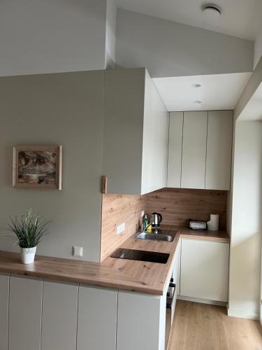 Apartamentai Muziejaus g