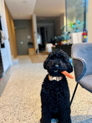 Suite lumineuse à Saint-Gilles