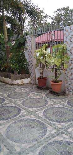 Silay DennisFhin Residence