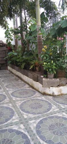 Silay DennisFhin Residence