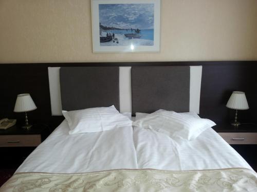 Hotel Sinaia