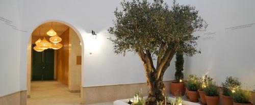 Casa De La Vega Suites