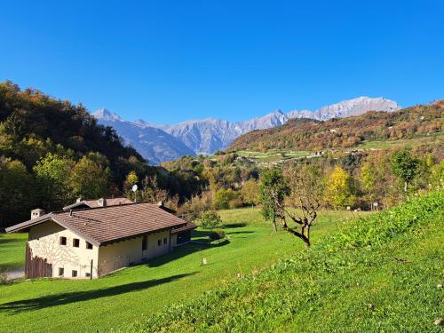 Azienda Agricola Quader