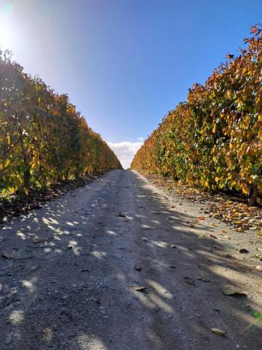Quinta Lourena - Casa do Caseiro