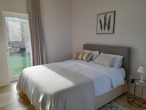 Palazzo Pisani B&B