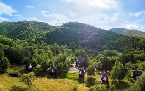 Portal Village