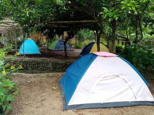 Jolits EcoGarden Hostel