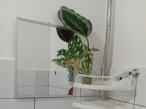 Vincent Lloyd's Guestroom