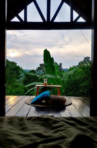 SMALL CABIN IN THE SOUTH