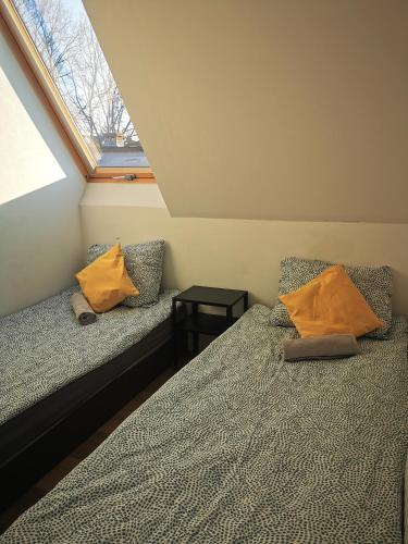 Hostel 55