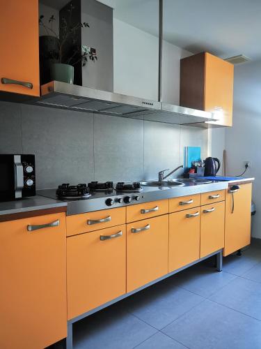 Hostel 55