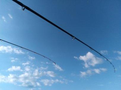 Chill & Relax Apartment