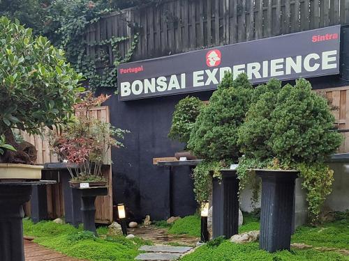Zen Museu Do Bonsai