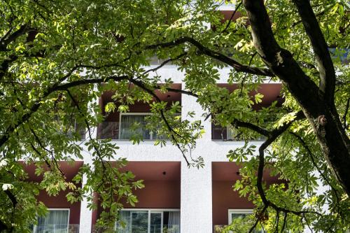 Stadthotel Scala Stiegl