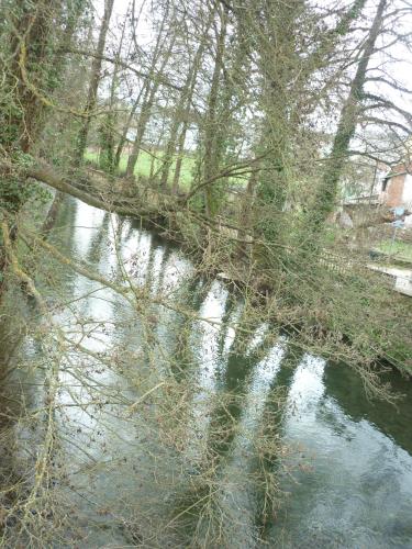 Pensión Albergue Puente Ribeira