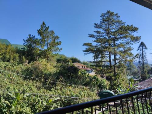 Amara Transient House - Homestay