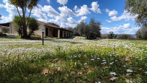 Agriturismo Bio Pian Dei Casali