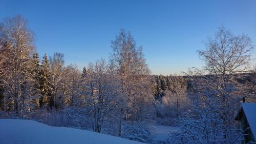 Villa Jokivarsi Bed and Breakfast