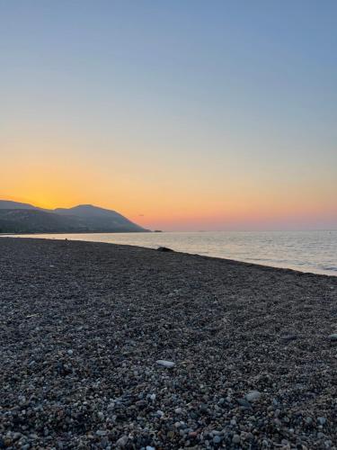 KINGS SQUARE Holiday Apartments