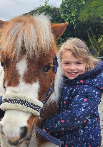 The Stable Annexe with hot tub & horses