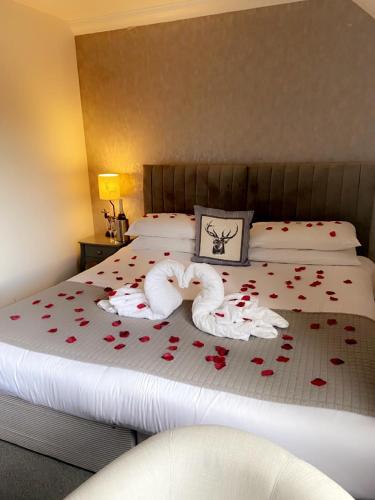 Victoria Guest House