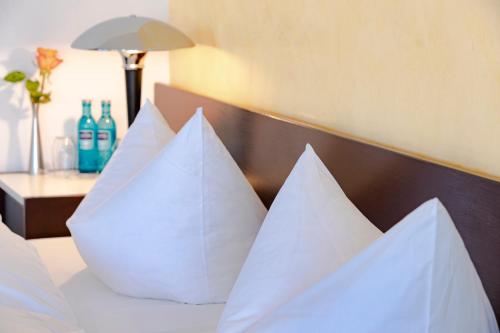 TOP CountryLine Hotel Roth am Strande