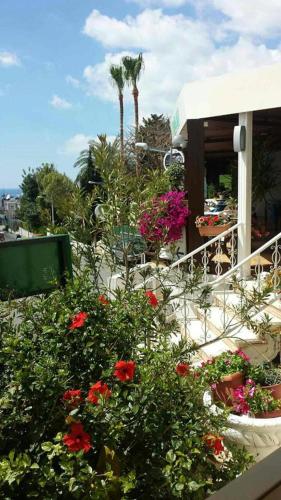 Myriama Apartments