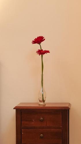 Affittacamere B&B Cagliari Novecento