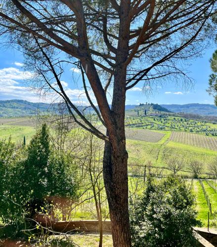 Corte di Valle Wine and Resort