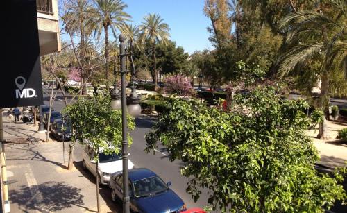 B&B Mare De Deu Jardines Del Turia