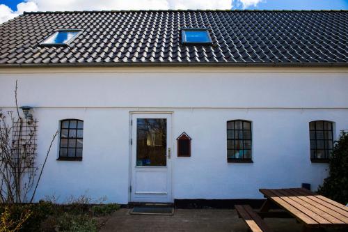 Stutteri Skandi Hest
