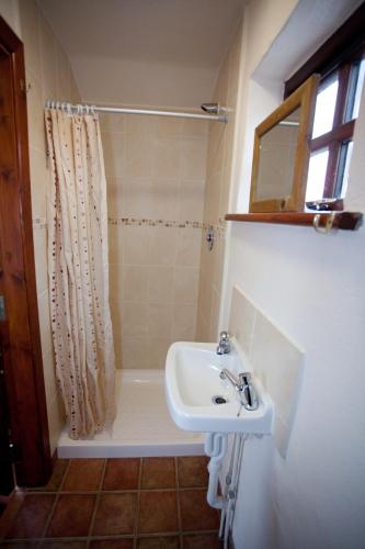 Aille River Hostel Lodge & Camping