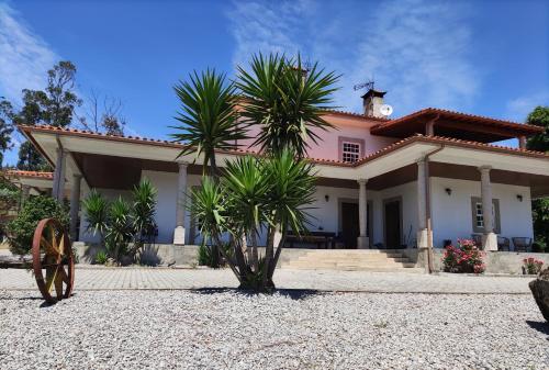 Quinta da Paixão - Bed & Breakfast