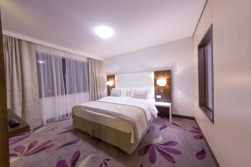 Hotel Transilvania