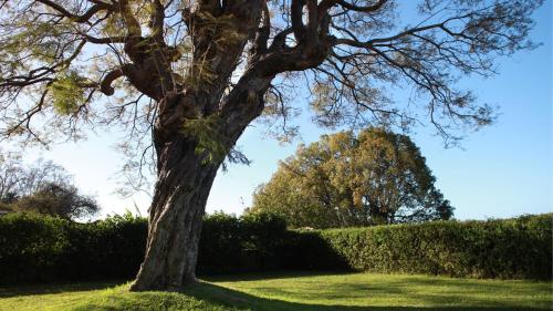 Quinta Das Malvas