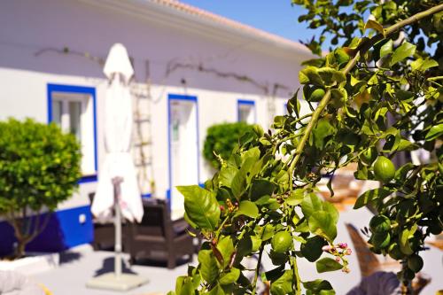 BnB And Spa Carvoeiro