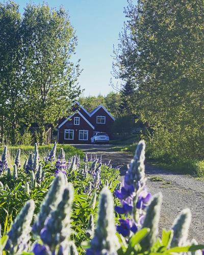 Hengifosslodge Skáldahús