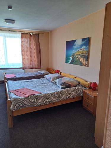 The Bunker Hostel