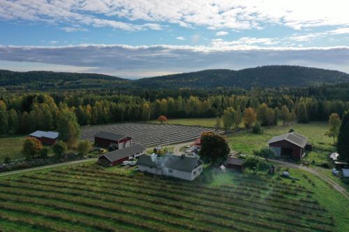 Maatilamatkailu Janisvaara