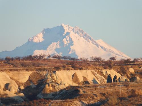 Anatolia Cave Hotel & Pension