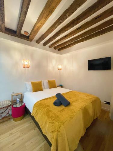 Cocoon Gallery Paris